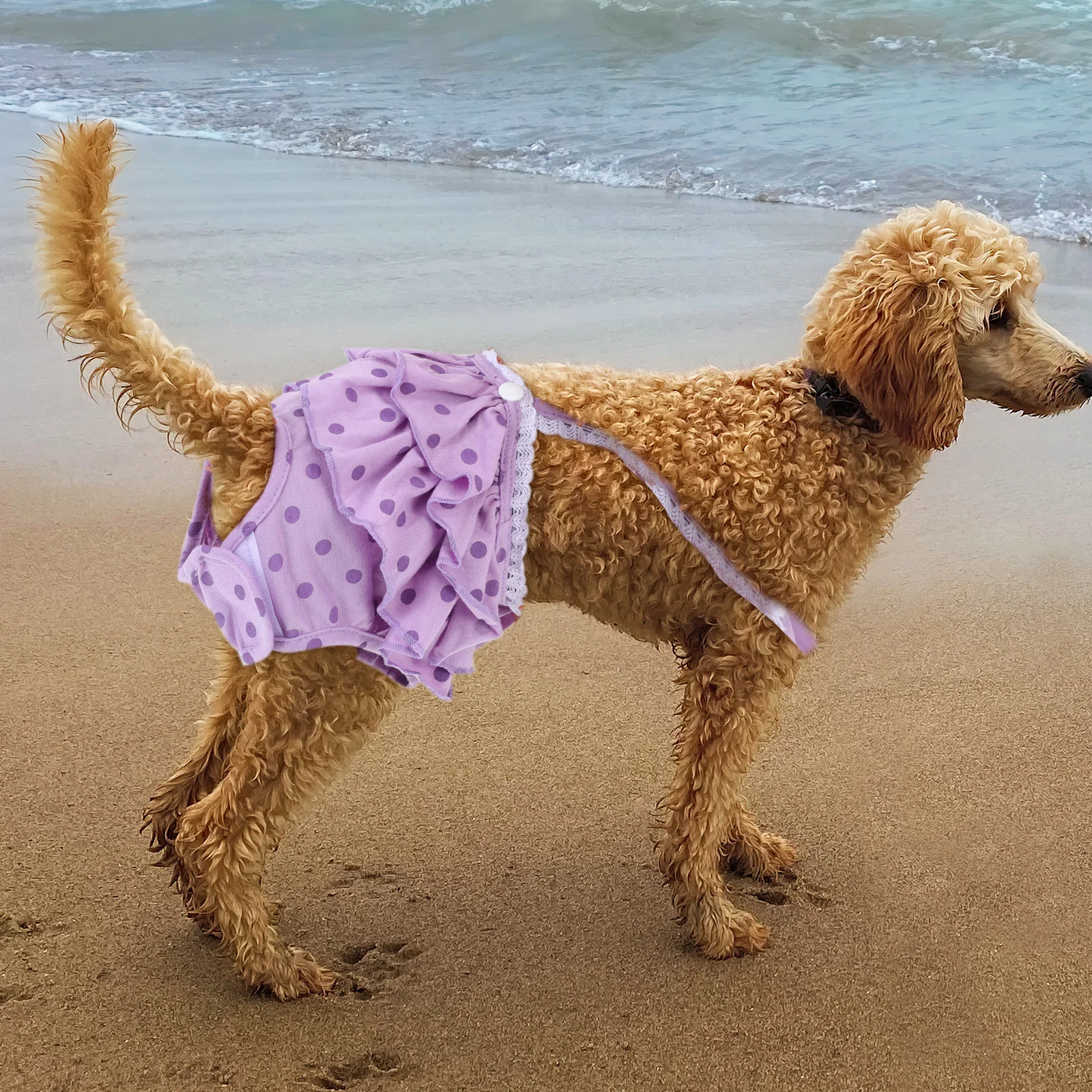 

1Pcs Pet Diaper Dog Menstruation Underpant Cotton Physiological Nappies Puppy Sanitary Pantie for Female Pet Protection