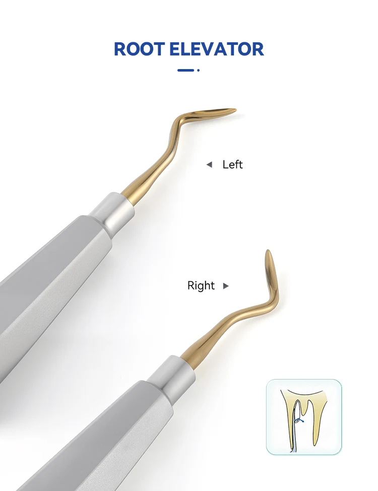 7-teiliges Set AZDENT Dental Zahnheber Chirurgische Zahnextraktionswerkzeuge Gerade und Gebogene Edelstahl-Instrumente für Zahnmedizinlabor – Detail 5