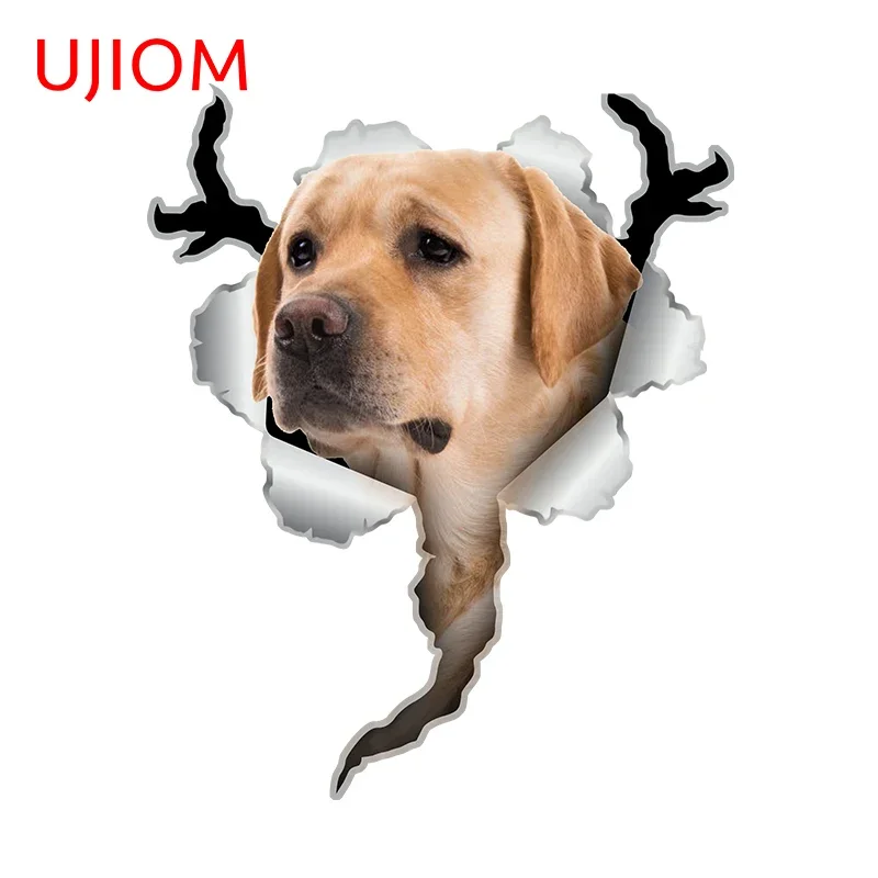 UJIOM Dog Tear Wall Sticker Creative Cute Golden Hair Animal Charming Decal Exclusive Design Waterproof Scratch Proof Decor