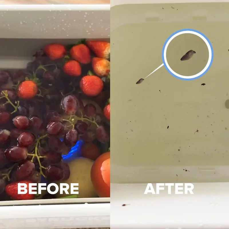 Machine à laver les fruits et légumes, dispositif de nettoyage des fruits qui conserve la fraîcheur dans l'eau, nettoyeur de fruits et légumes étanche