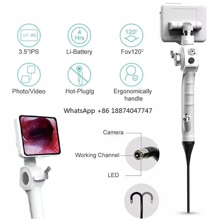 Veterinary Instrument Handheld Ultra-clear Veterinary Endoscope Flexible Animal Video Endoscopy