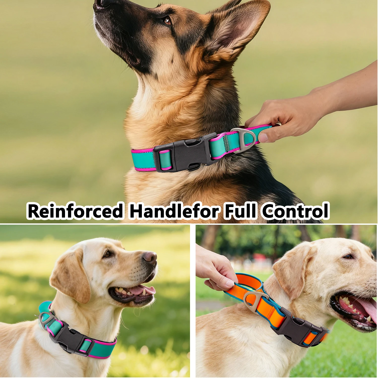 Collier pour chien réglable et imperméable avec boucle rapide_voghion.com