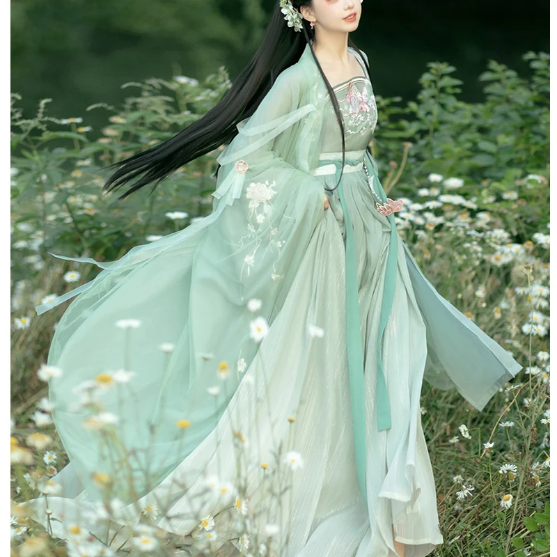 Chinese Traditional Hanfu Costume, Fresh Elegant Chebula Skirt, Han Elements Complete Set, Double-Layer, Long-Sleeved Embroidery