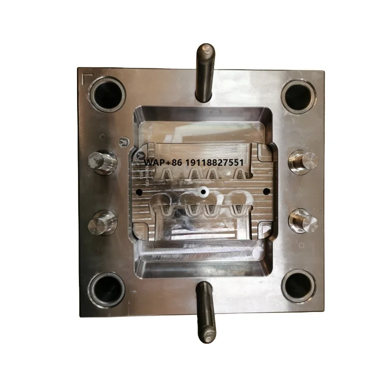 Insert Molding ABS/PP/ PMMA/ PC/ PBT/ Mold for Custom Plastic
