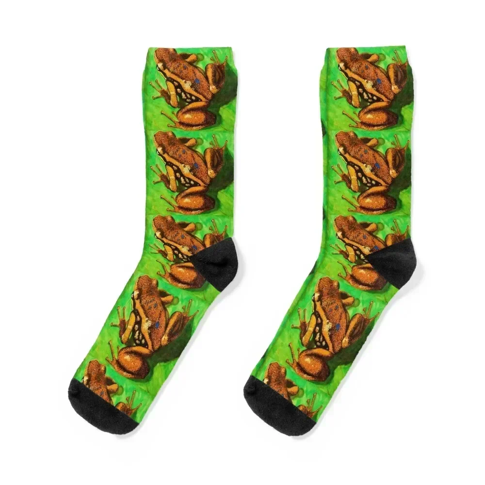 

Poison Dart Arrow Frog--Speckled Orange Socks professional running sheer anti slip football kawaii Socks For Man Women's