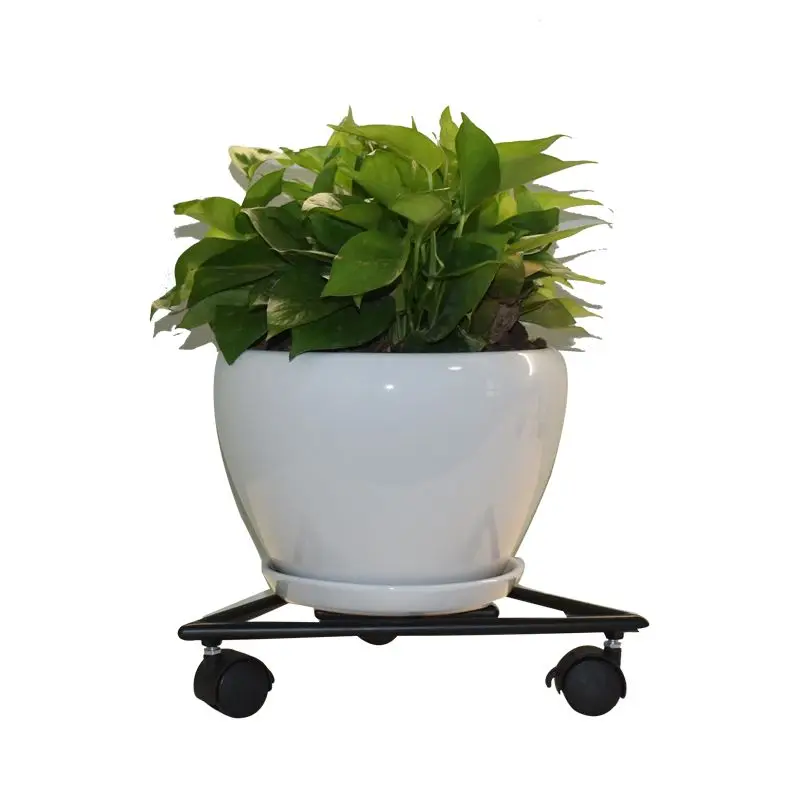 

Mobile Home Living Room Shelf Balcony