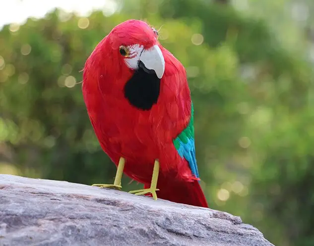 red&blue feathers parrot model foam&furs turned parrot bird model about 45cm d099