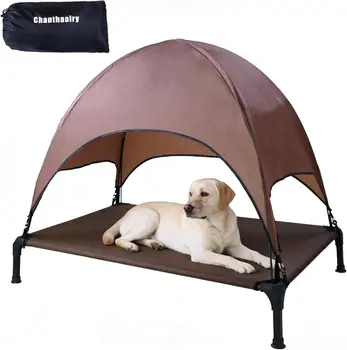 Shaded Elevated Dog Cot 1