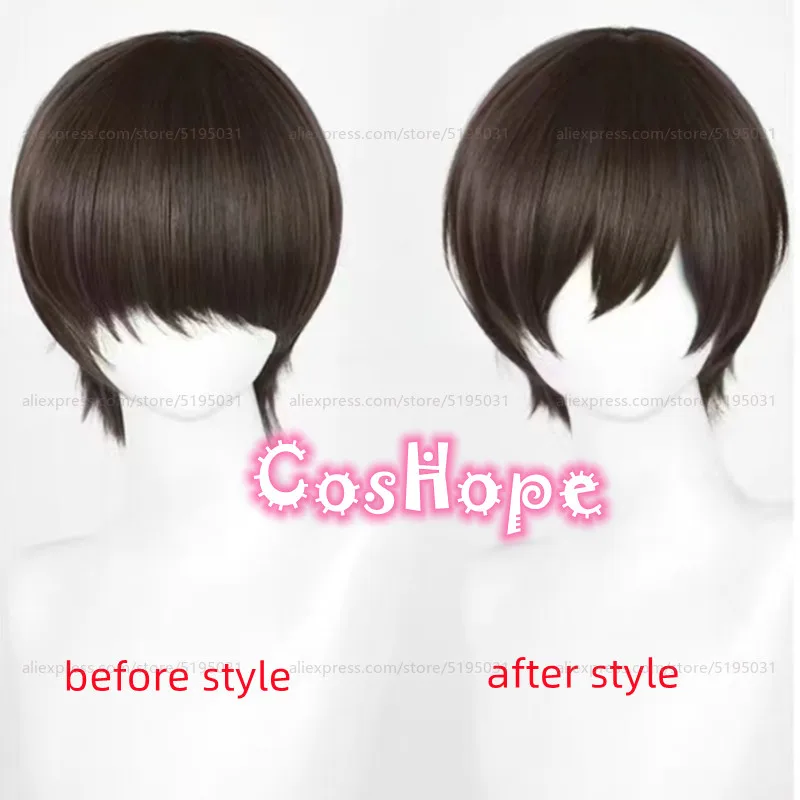 Fujioka Haruhi Cosplay Wig Unisex 30cm Short Dark Brown Wig Cosplay Anime Cosplay Heat Resistant Synthetic Wigs