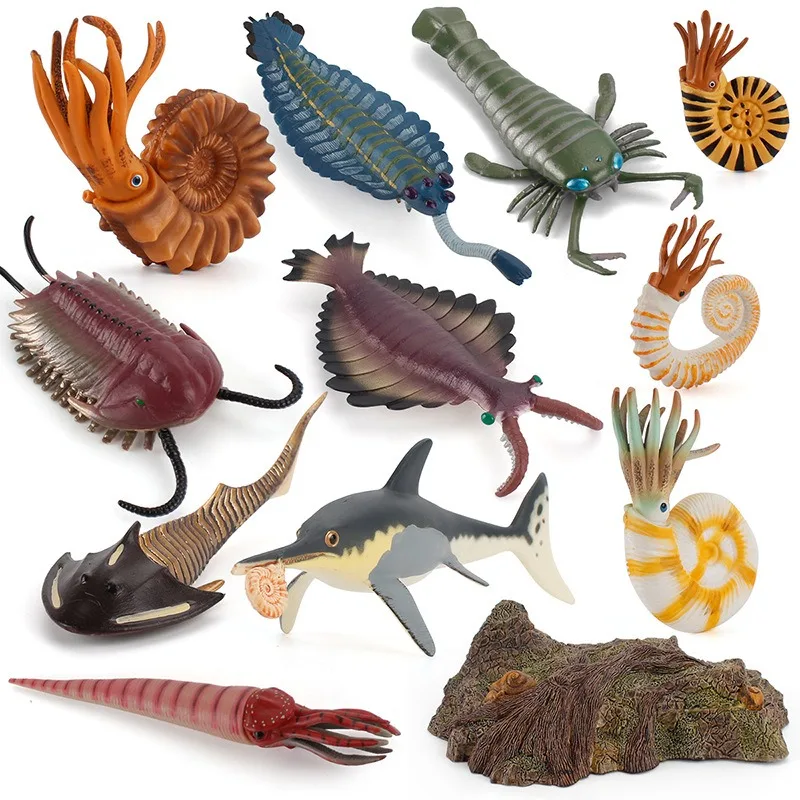 Simulated Ancient Marine Organisms Fridge Magnets Anomalocaris Nautilus Trilobite Fridge Stickers Children Gifts