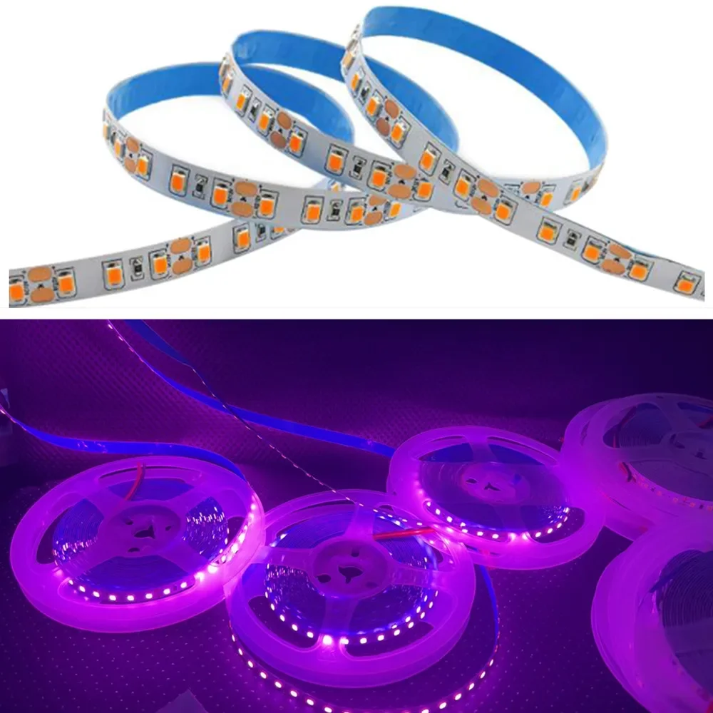 2835 5050 SMD Led Strip Light DC12V 5M 300LEDs Flexible Ribbon Tape Lighting White Warm White Red Green Blue Yellow Pink RGB