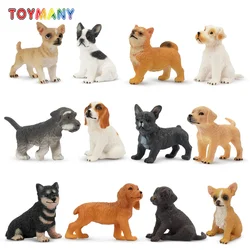12Pcs Toymany Realistic Dog Figures, Simulation Pet Animal Model Toys for Kids Children Gift Set, Mini Collectible Figurines