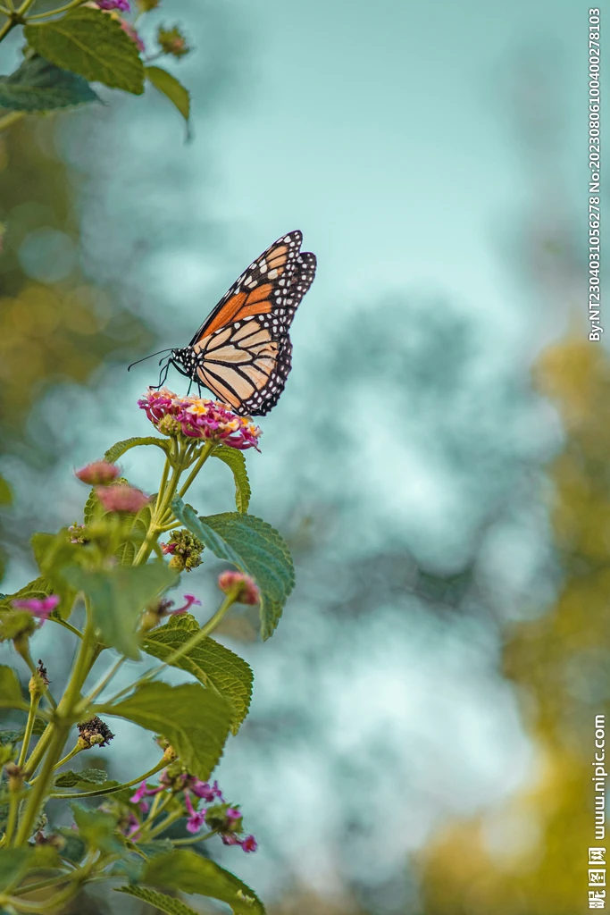 

Для MJX 10208 V1: 4 шт. металлических приводных валов CVD, запчасти для тюнинга радиоуправляемых машин 1/10