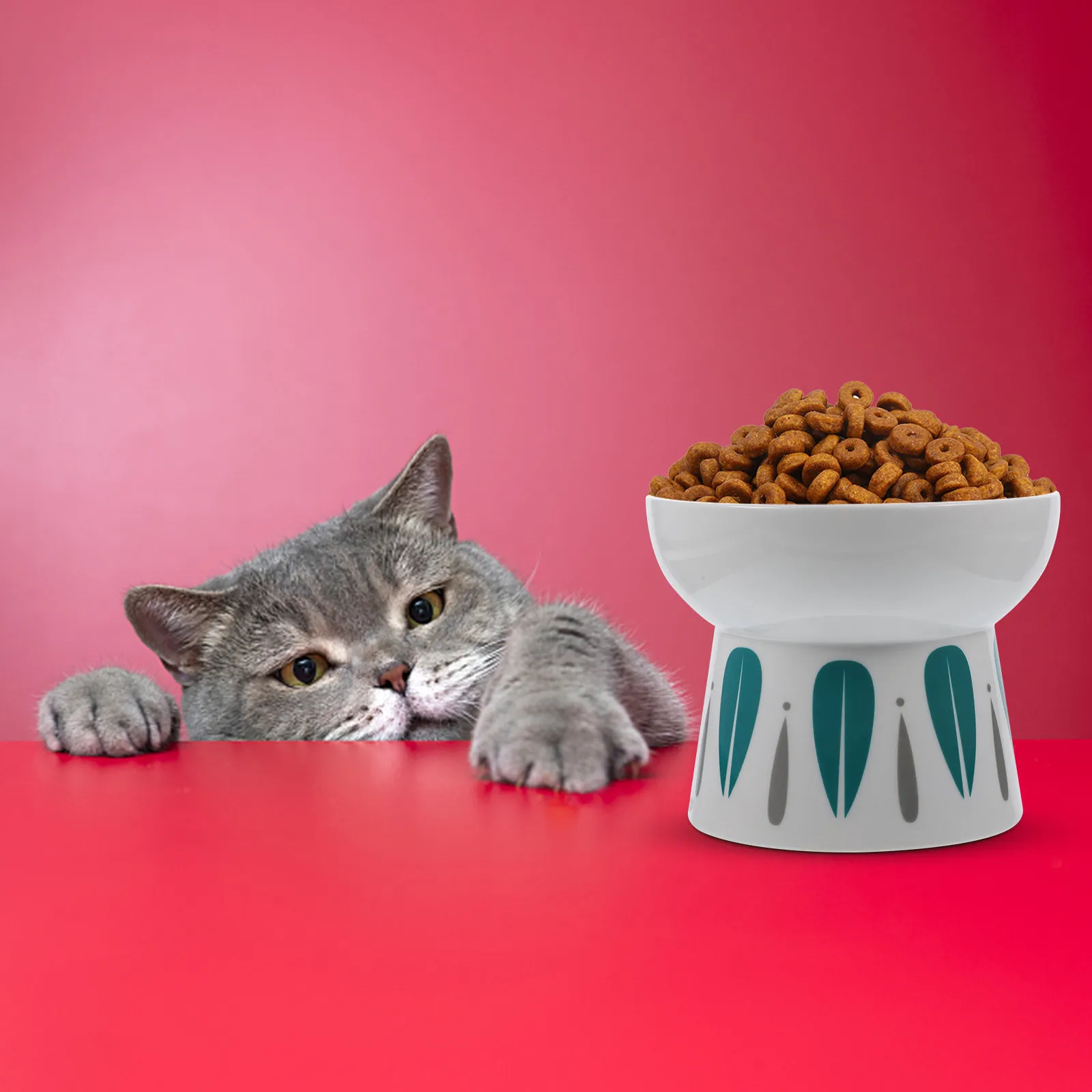 

Высокая керамическая миска для кошек: удобная, приподнятая, компактная, для домашних кошек, миска для корма на подставке