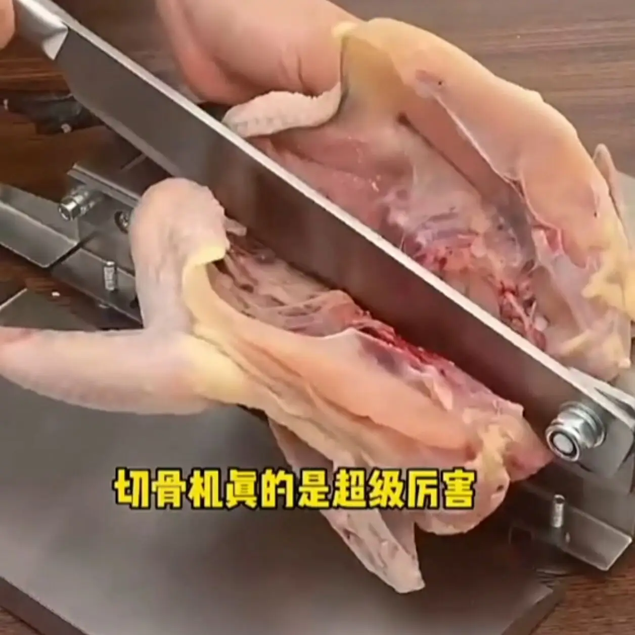 Commercial Slicer Frozen Meat Bone Cutting Machine Minced Lamb Bone Meat Cutter Chicken Duck Fish Rib Lamb Cutting Kitchen Tool