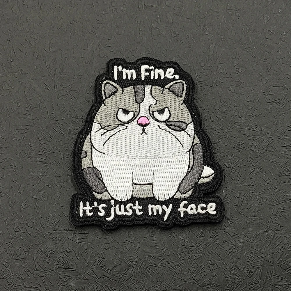 Funny Animal Embroidered Badge Hook & Loop Patch Cat Raccoon Slogan Patch for Backpack Vest Accessories