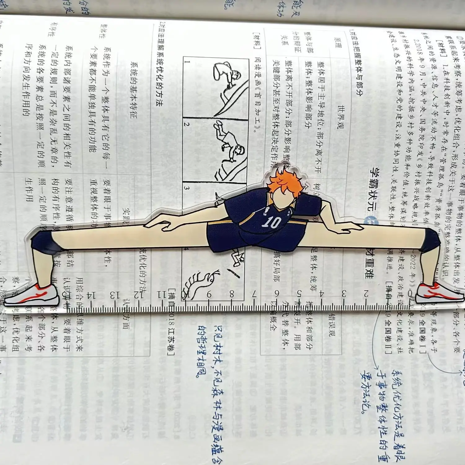 Anime Haikyuu!! Shoyo Hinata Cosplay Leg Ruler School Stationery  Ambitus