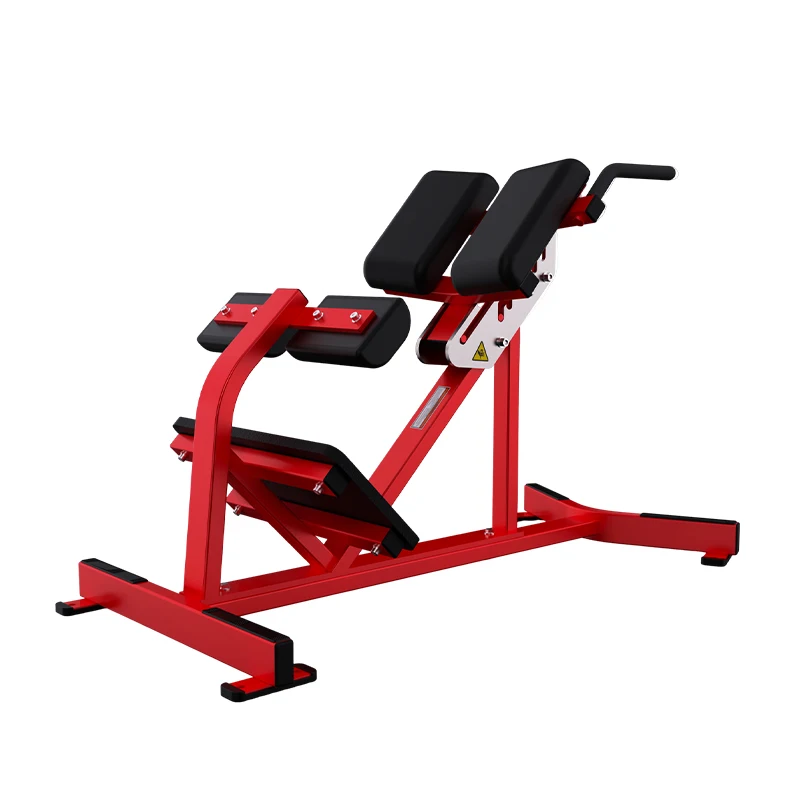 Back Extension Machine Commercial Gym Equipment Fitness Back Extension Bench Back Extension Bench Machine