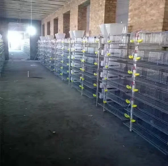 Hot Selling poultry farm equipment H type quail cage for sale