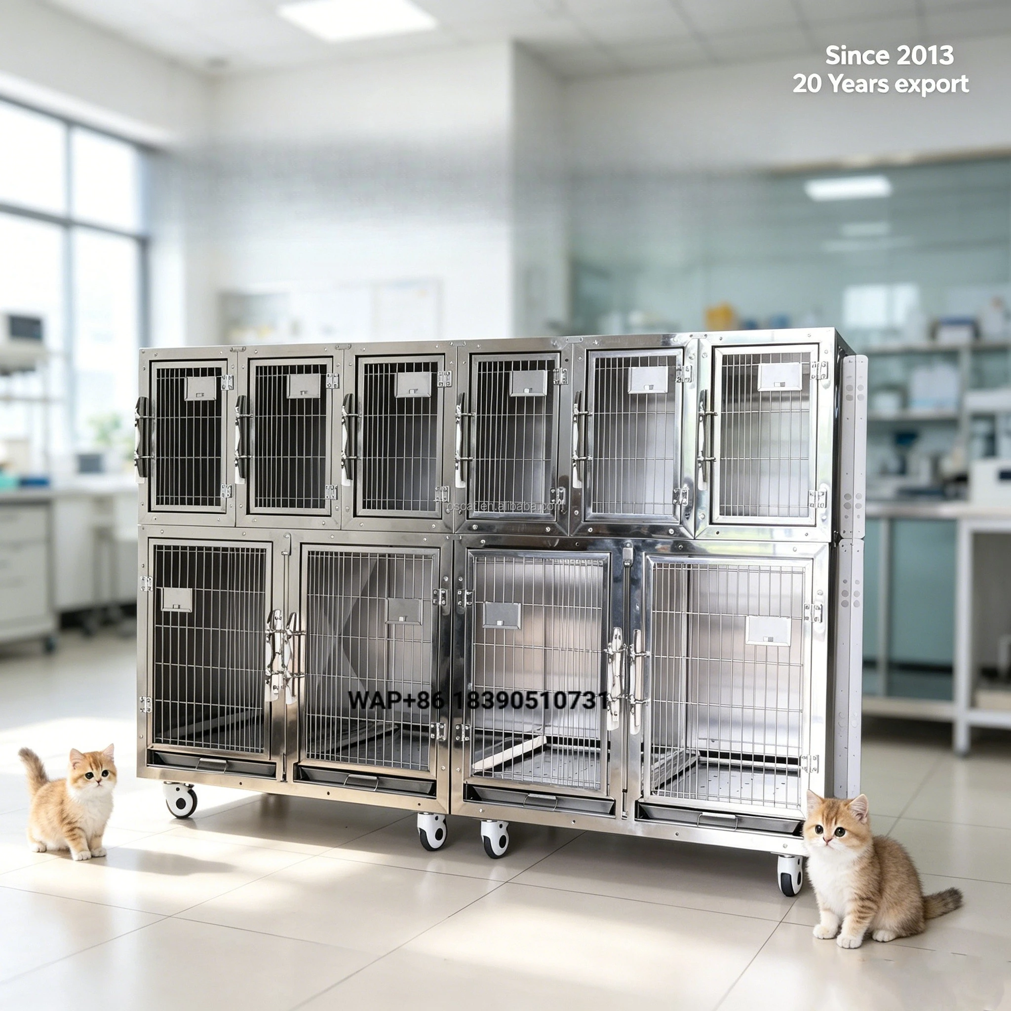 OfficAT Vet 10 Portal Assembled Cage Veterinary Equipment European Union Standard, Safe and Easy to Clean, Pet Medical Equipment