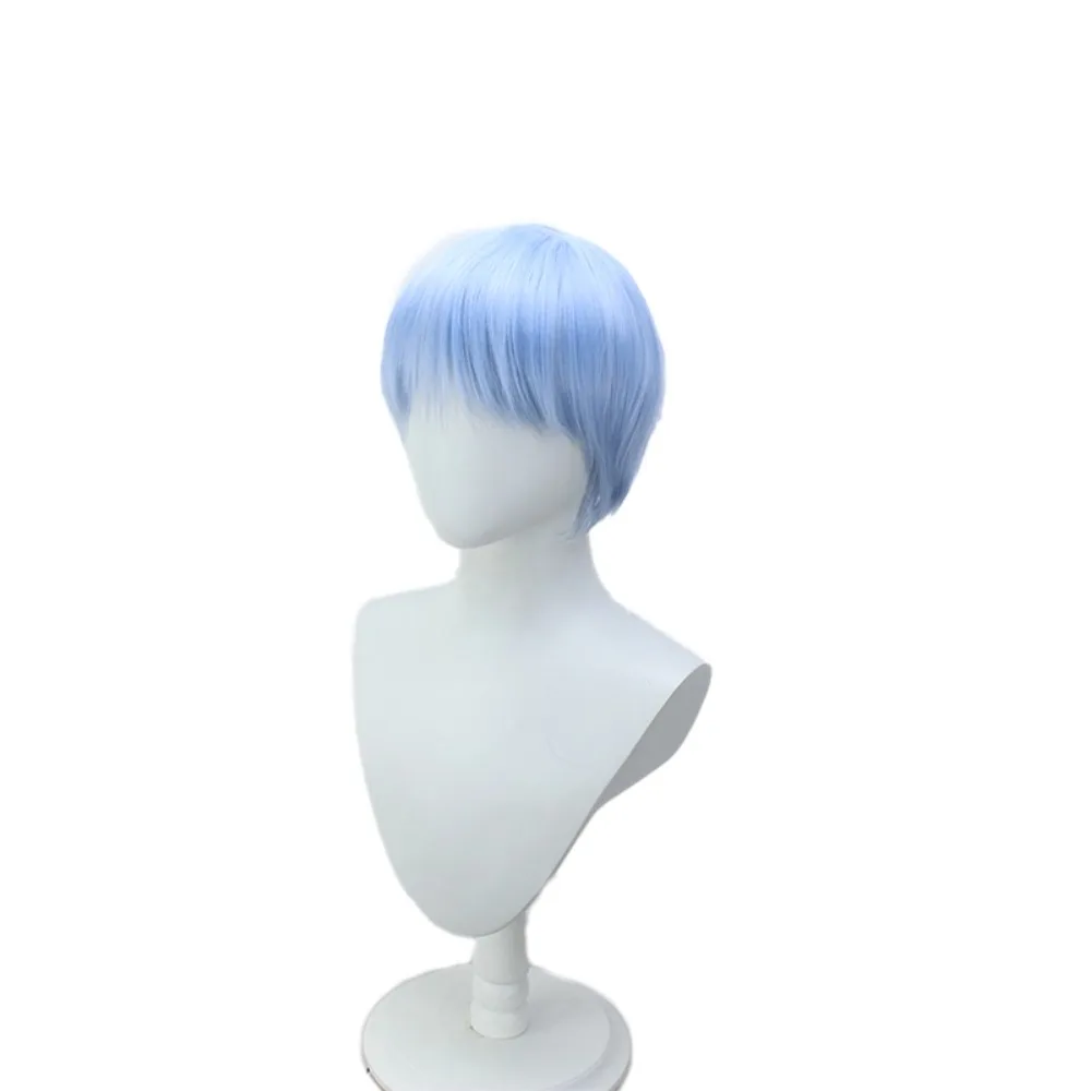 Frieren Himmel Cosplay Wig Blue Anime Hair