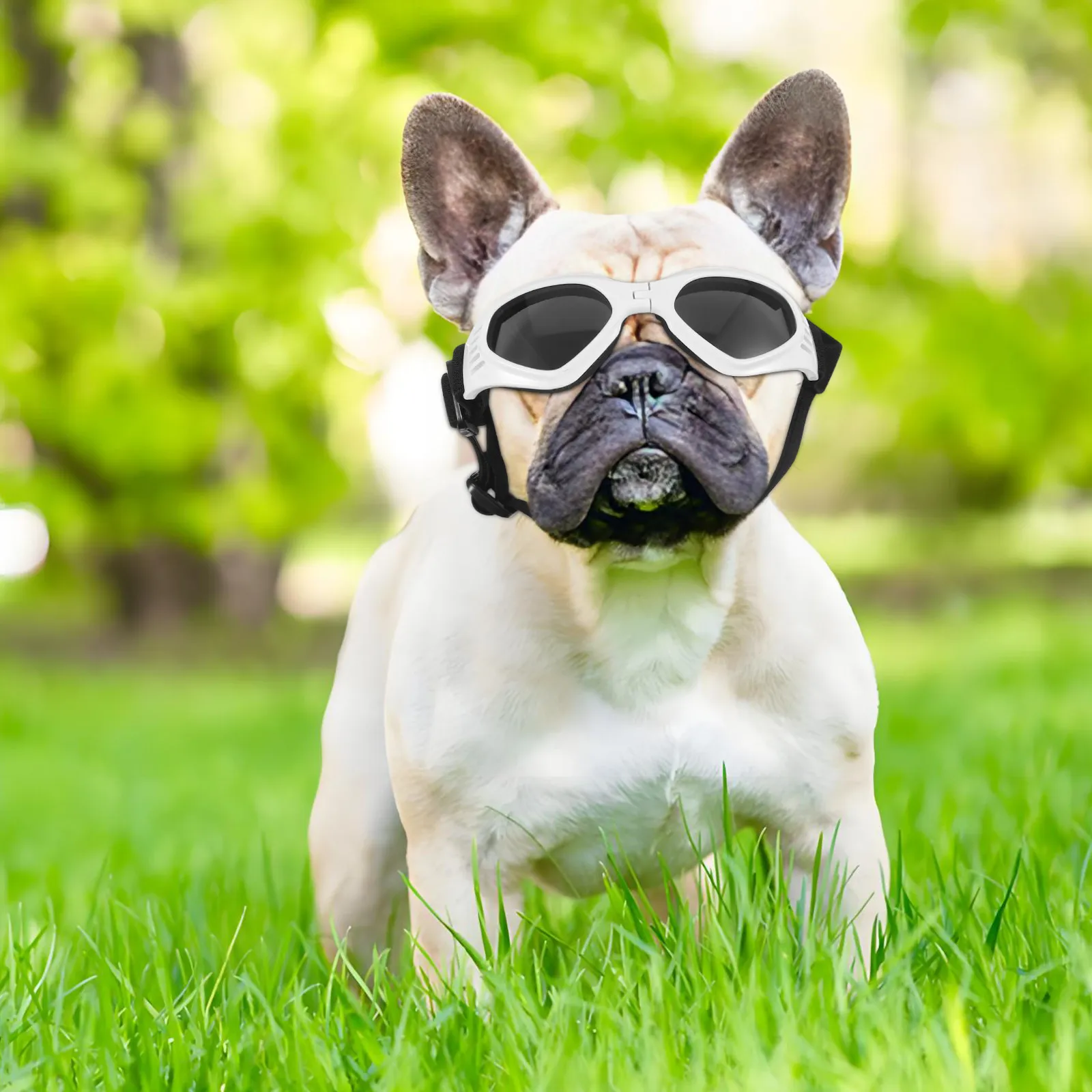 

Foldable Dog Glasses Pet Sunglasses for Small Medium Large Breeds Uv Protection Windproof Waterproof Adjustable Strap Dog