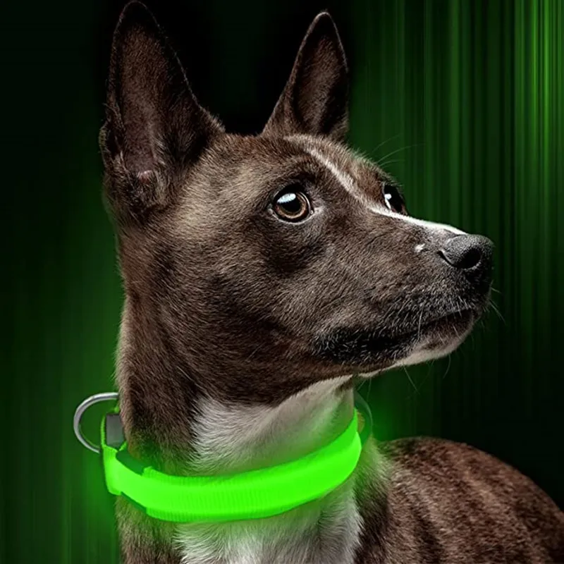 Usb Charging Led Dog Luminous Collars Adjustable Anti-Lost/Avoid Car Accident Night Light Safety Led Dogs Collar Pet Accessories