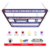 Hydrop Latest Phytolamp Quantum 240W 320W 480W 650W Sam-sung LM301H EVO LED Grow light Greenhouse growbox complete set growtent