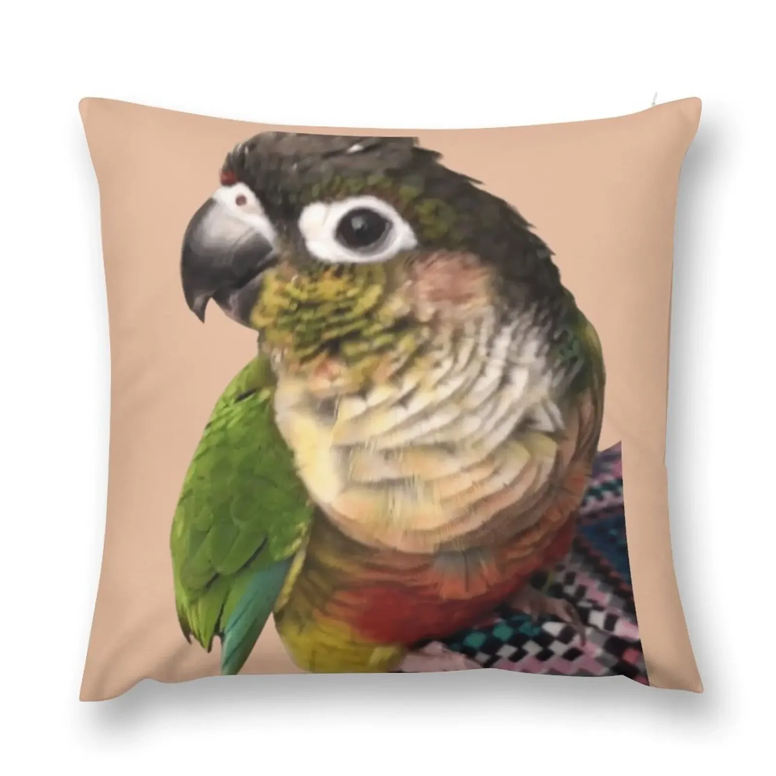 Yellow Sided Green Cheek Conure parrot Conure Small Parrot Parakeet Parrot lover Throw Pillow Pillow Covers Decorative pillow