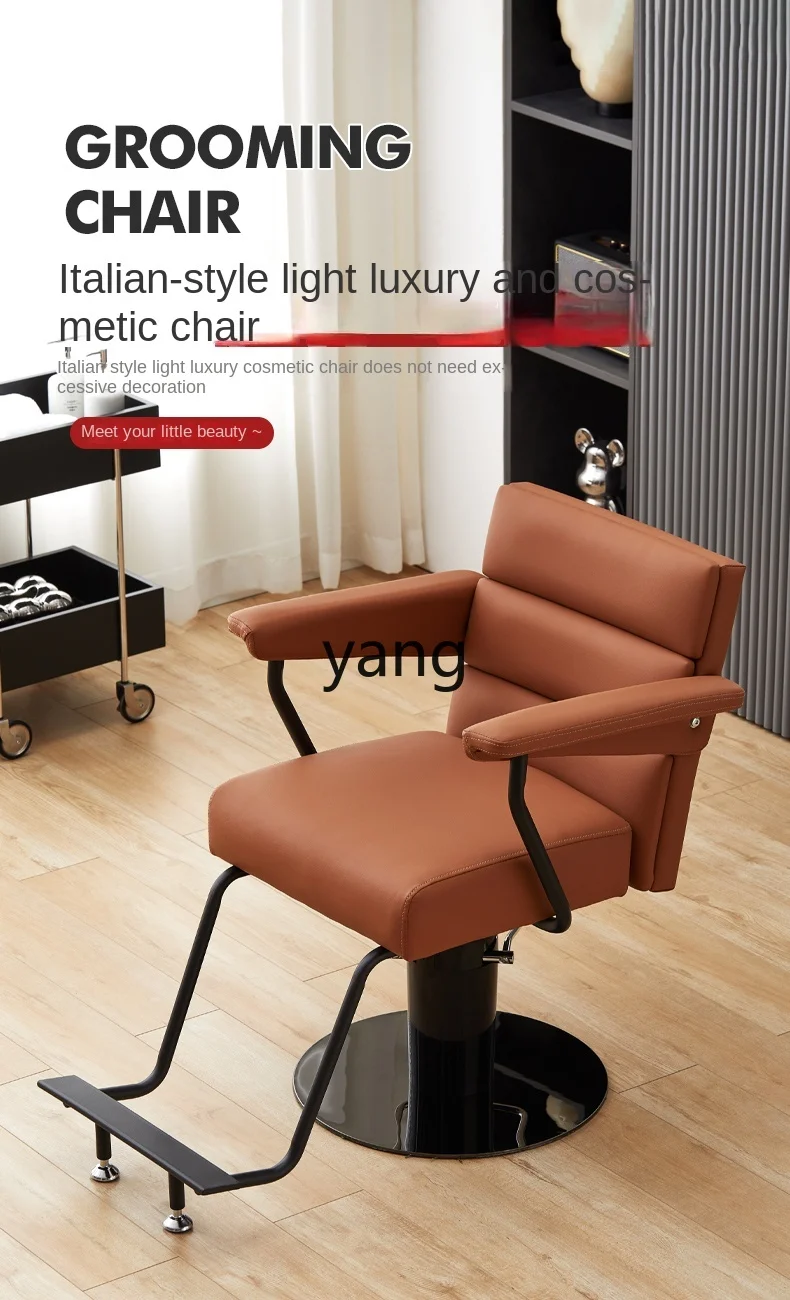 LMM Barber Shop Chair for Hair Salon Hair Cutting Chair Lifting and Falling