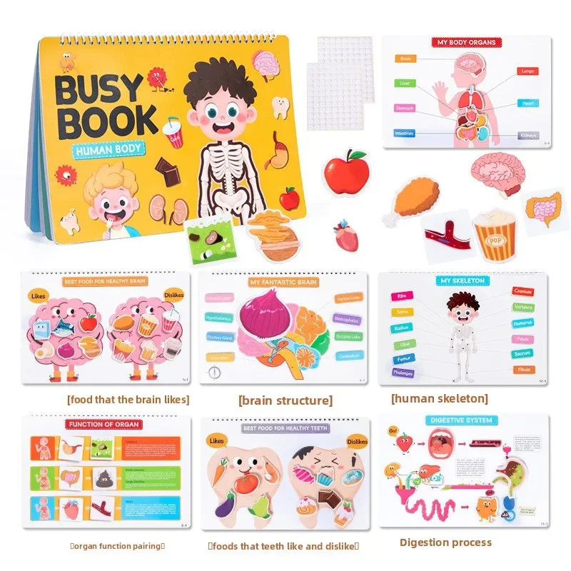 Libro occupato Montessori: libro di attività per l'apprendimento del corpo umano per bambini in età prescolare - Tear & Paste, Flip & Explore Libro silenzioso per l'orecchio dei bambini
