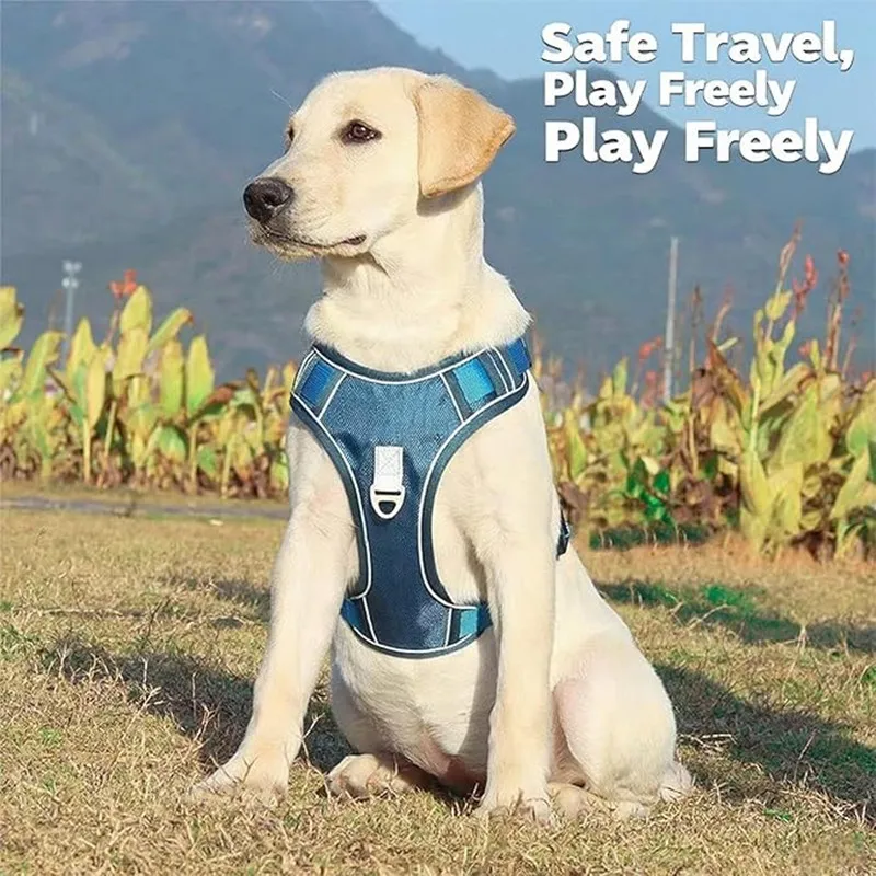 Thumbnail 4 - #9 Latest Retractable Dog Leads Offers
