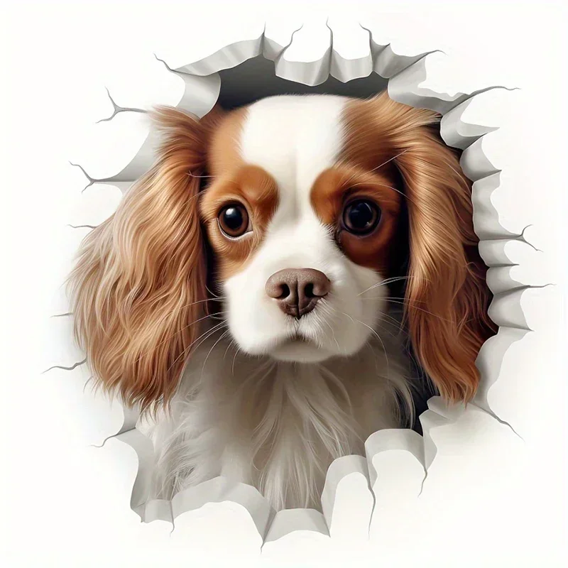 

Windproof Automatic Threefolding Umbrella Car Logo Business Umbrella For Audi Sline A7 A6 A5 A4 A3 A1 A8 TT Q3 Q5 Q7 S3 S4 S5 S8