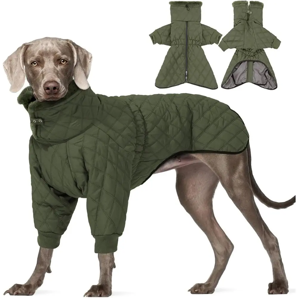 Abrigo de Invierno para Perro Grande, Color Verde, con Cuello Alto y Diseño con Cremallera para Protección contra el Frío