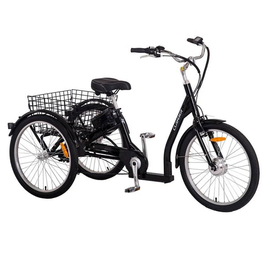 

36V 250W Electric Tricycle Three Wheelers Tricycle Cargo Tricycle With Basket 24 Inch 7 Speeds custom