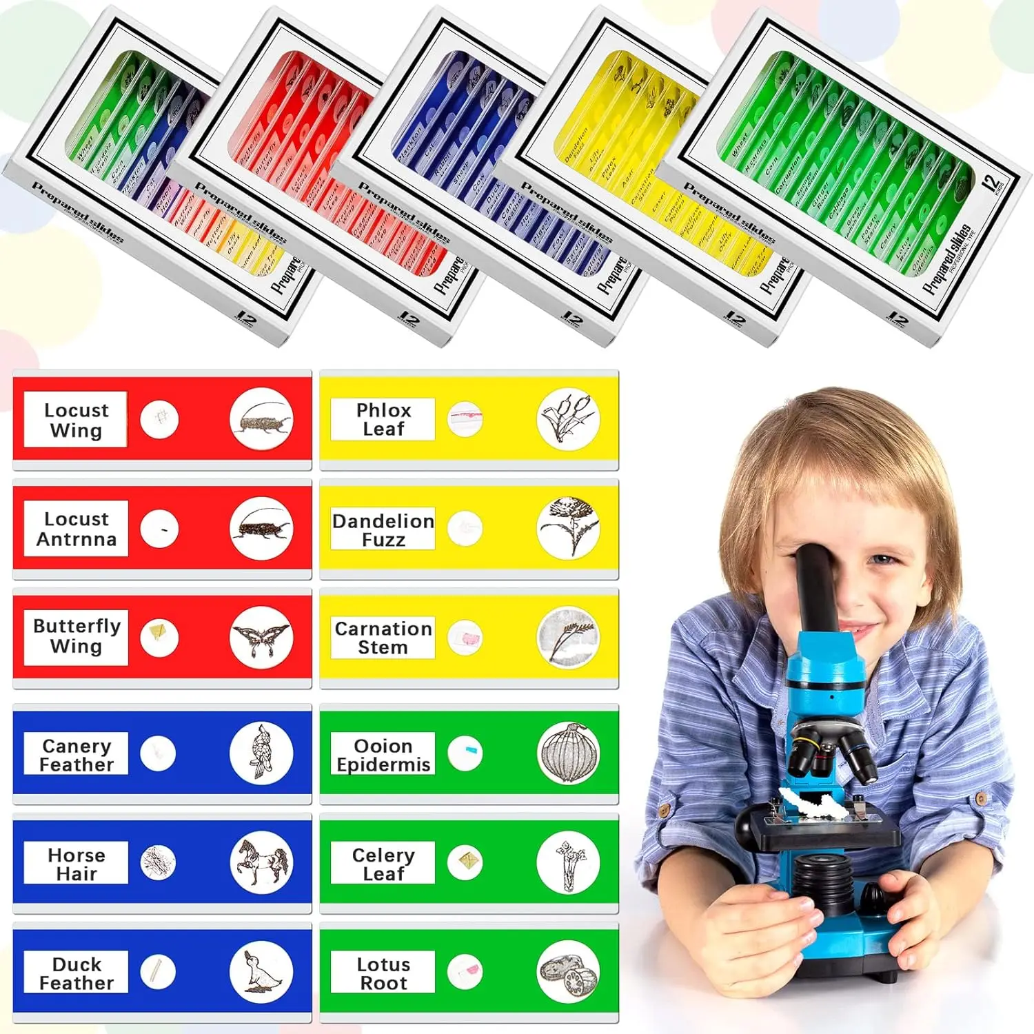 120 Pcs Kids Prepared Microscope Slides Animals Insects Plants Flowers Biological Specimens  For Student School Science