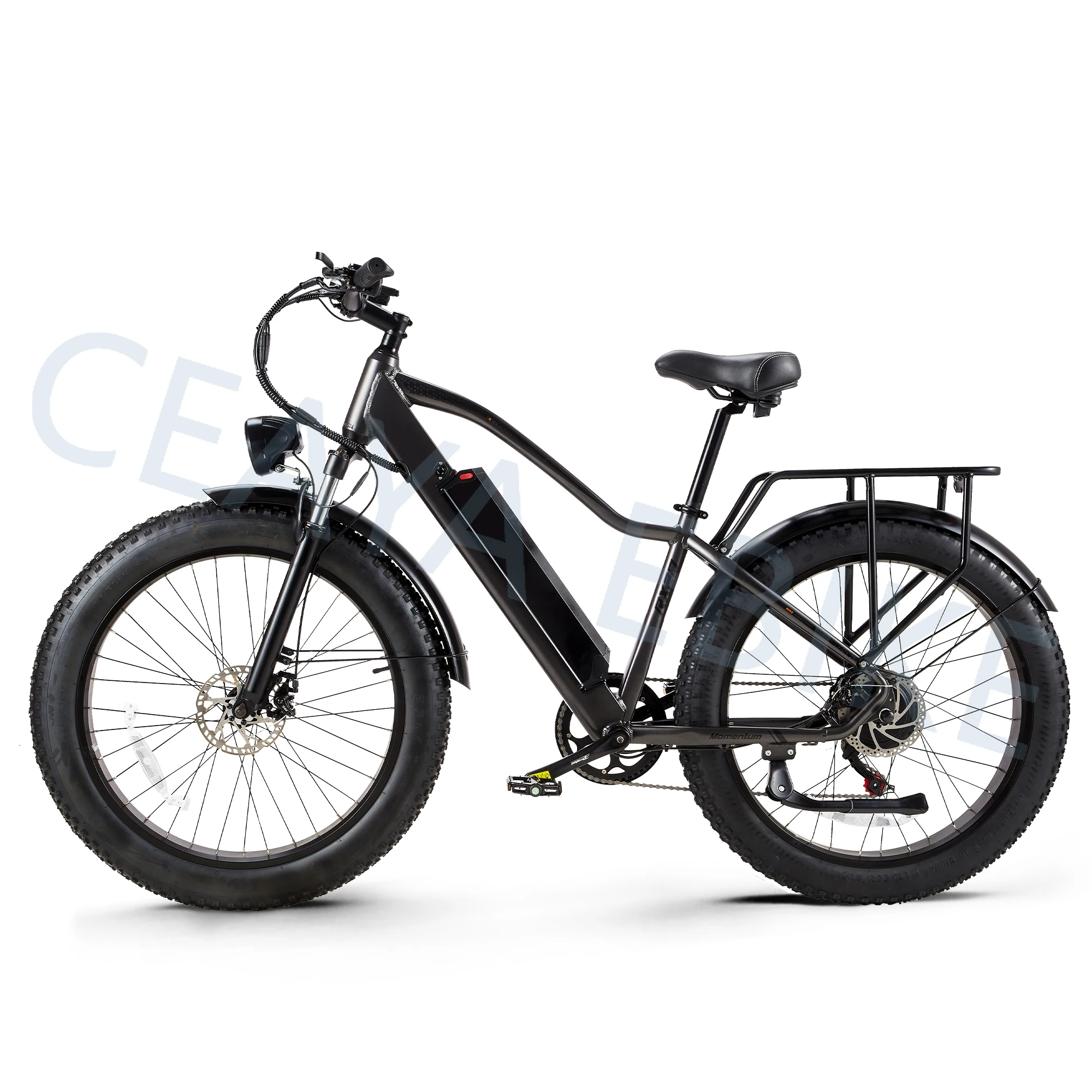 RX20 Electric Bike 26*4.0 Fat tIre Ebike 48V/20A Removable Battery Adults E-mountainbike Urban Commute E-Bike Men & Women