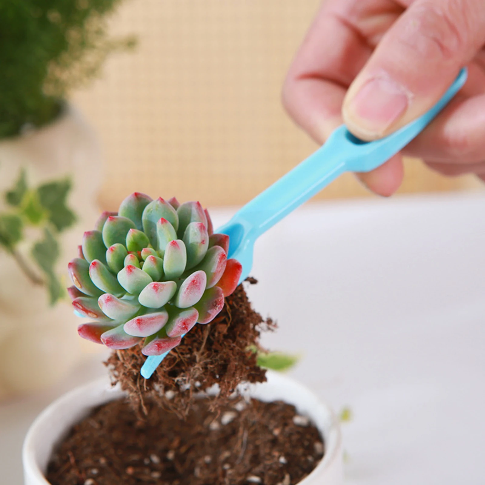 

Набор из 4 ручных инструментов для посадки и проращивания: пружинный дырокол, инструменты для посева семян, инструмент для пересадки рассады, садовые инструменты