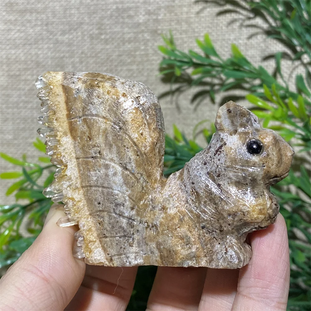 

Crystal Squirrel Natural Animal Carving Craft Quartz Reiki Gemstone Wicca High Quality Beauty Home Healing Minerals