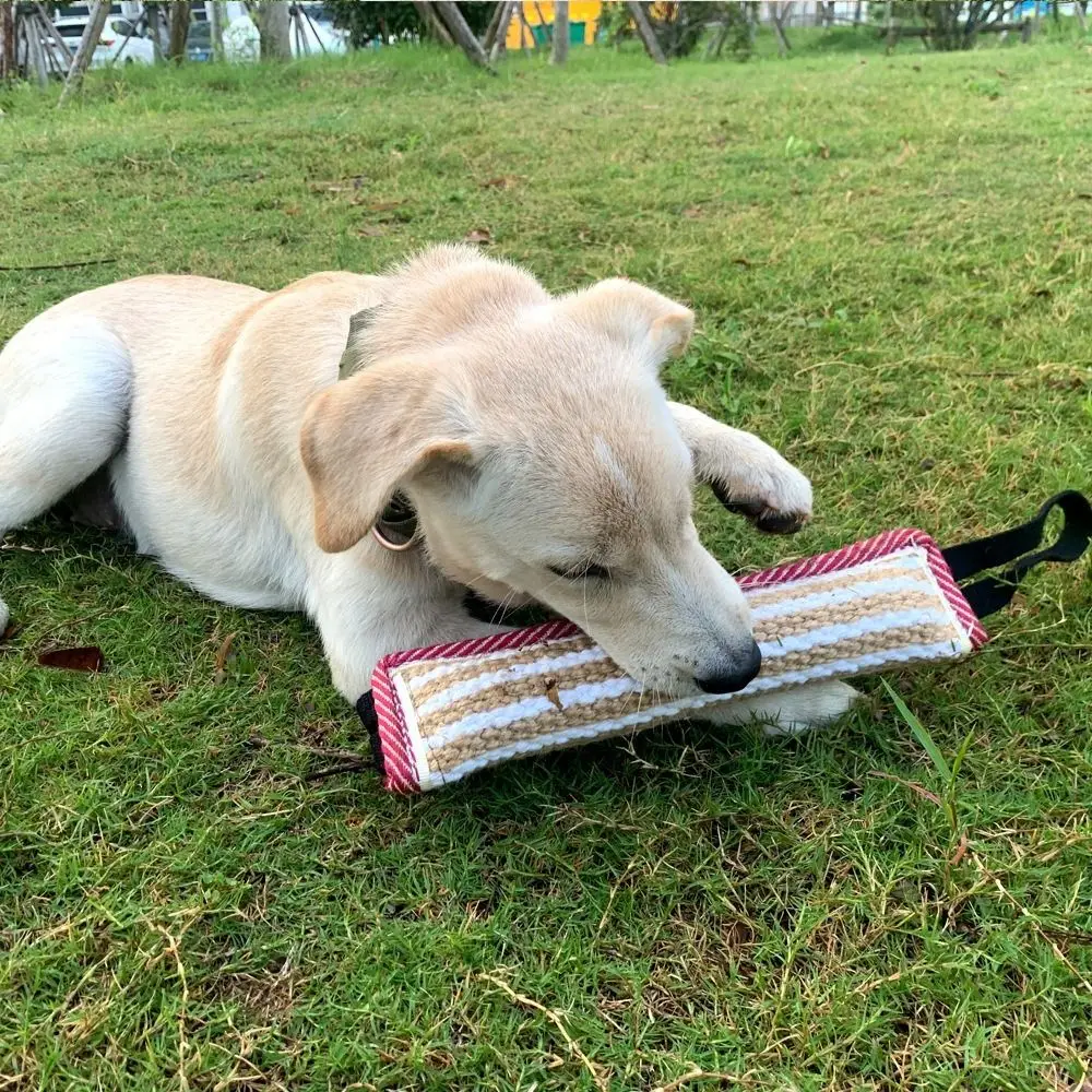 اكسسوارات الحيوانات الأليفة لدغة مقاومة الكلب لدغة وسادة التفاعلية حبل مقابض الحيوانات الأليفة مضغ العصي دائم الجوت سحب لعبة للقطط والكلاب