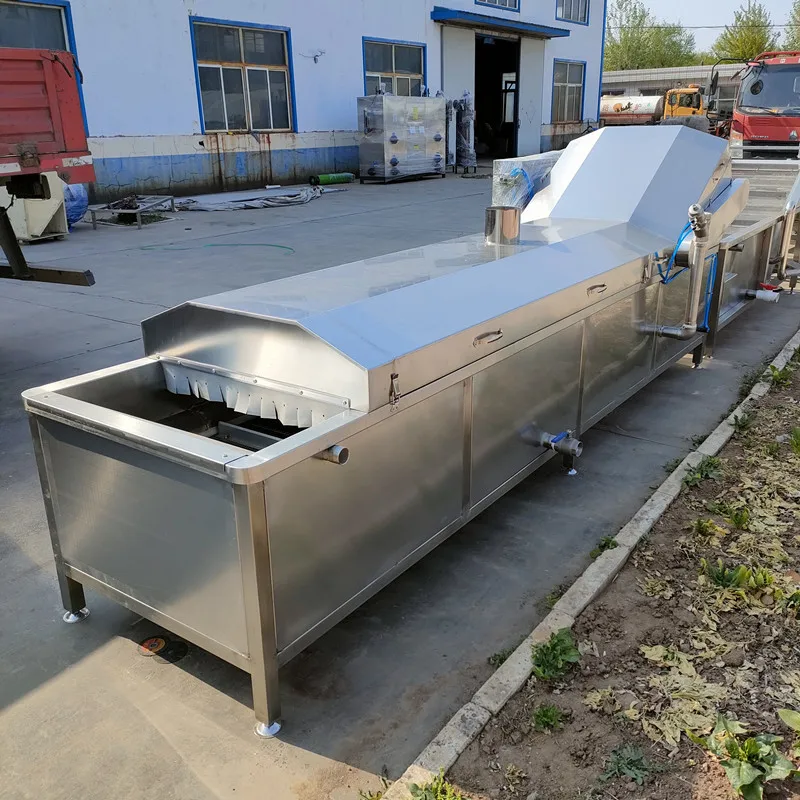 FL Fruit and Vegetable Blanching Machine Hot Water Circulation Blanching Machine for Fruit Vegetable Sterilizing Work