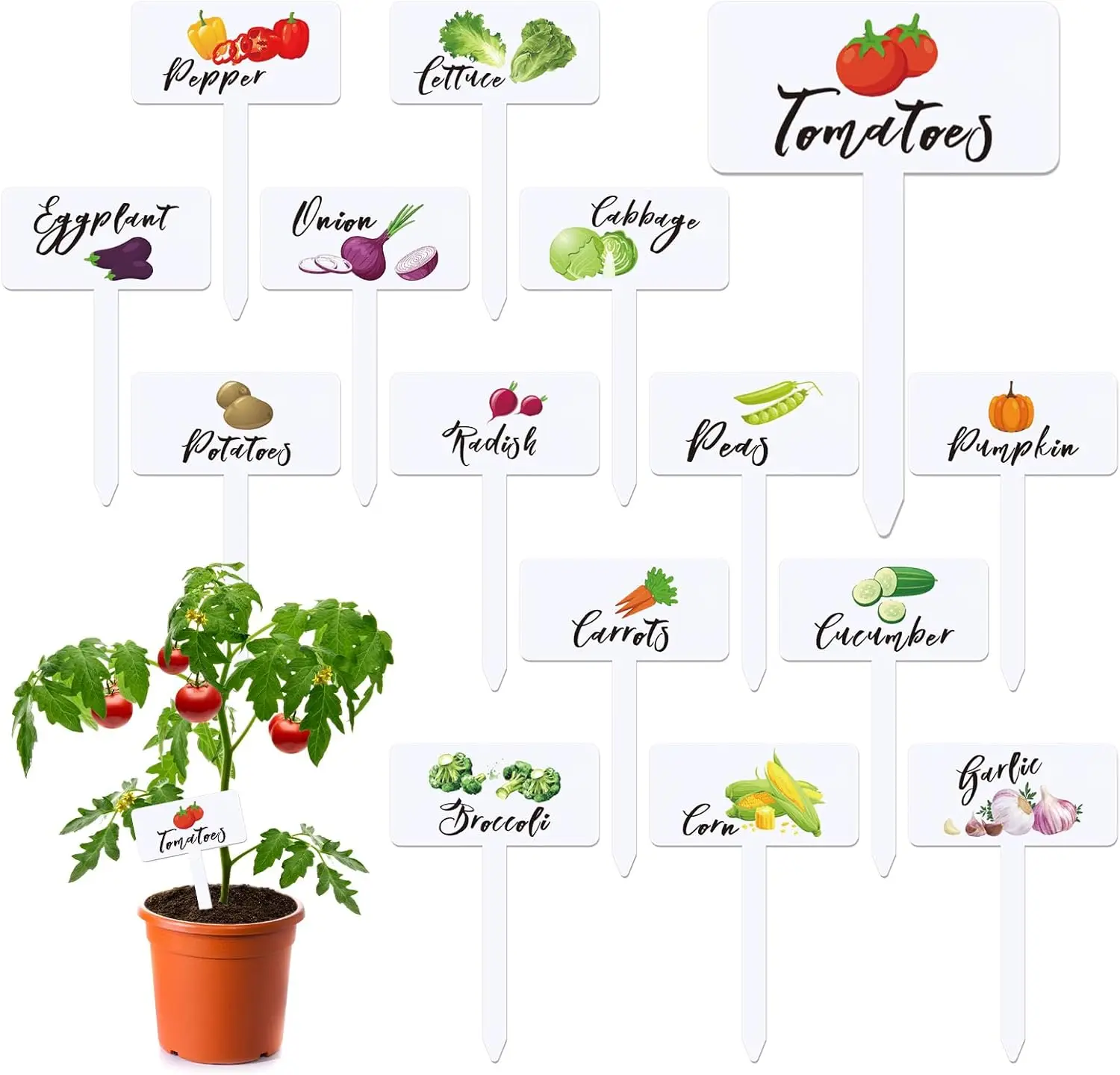

30 шт. водонепроницаемых акриловых маркеров для растений с названиями овощей, многоразовые садовые колышки Т-образной формы для декора внутри и снаружи помещений