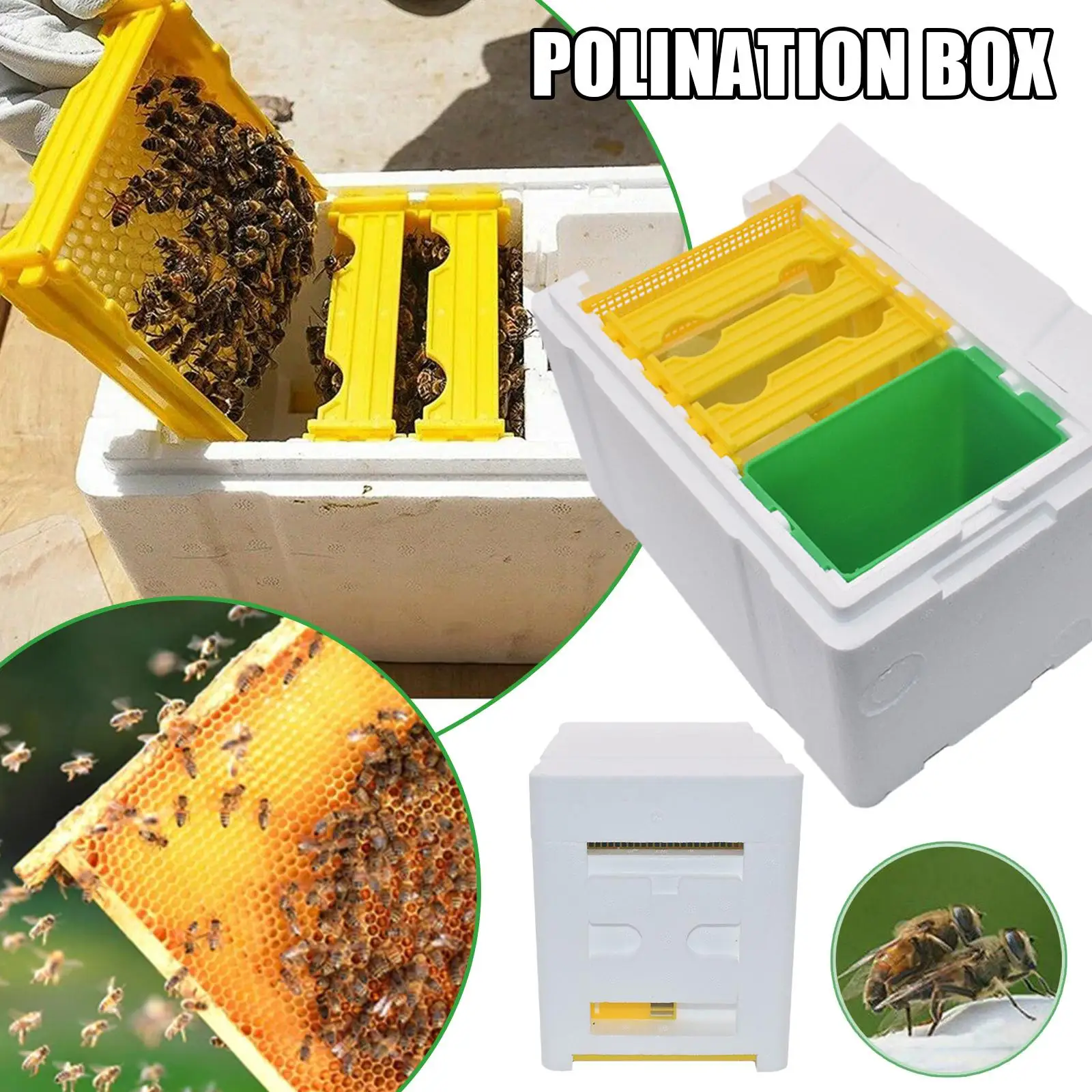 Queen Bee Breeding Box Bee Mating Box Foam Bee Hive Box Beekeeper Garden Pollination Box Bee Breeding Case Beekeeping Equipment