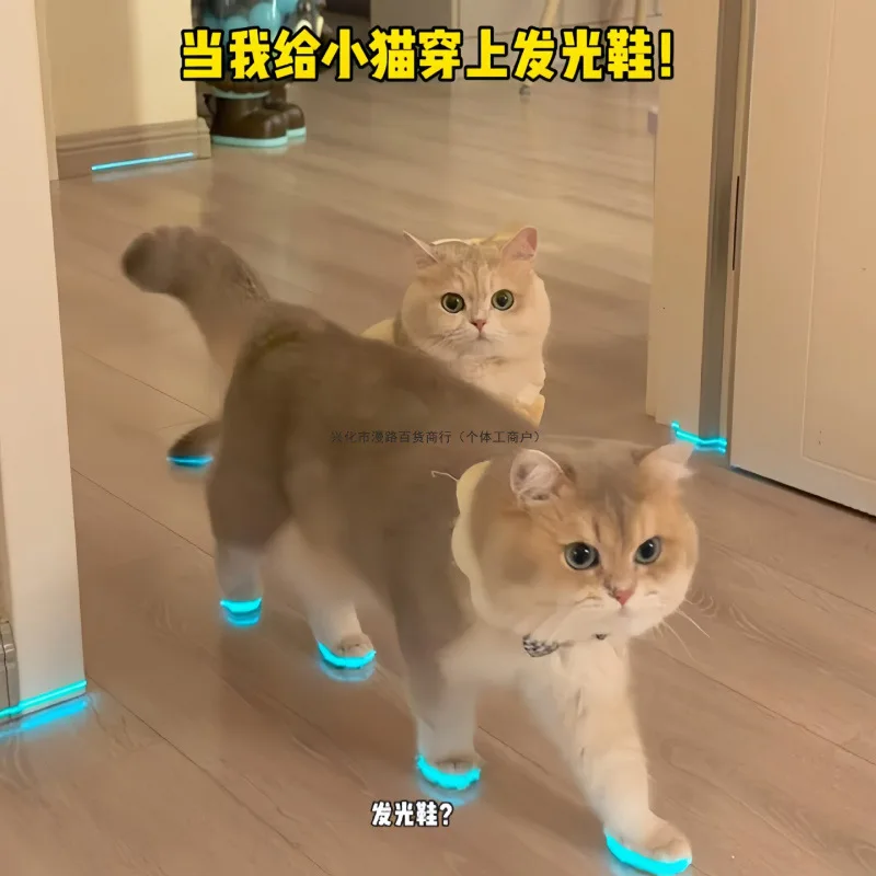 Zapatos luminosos para gatos, zapatos para perros, silbato, juguetes luminosos para niños, accesorios para fotos nocturnas, accesorios para acariciar gatos, accesorios para disfrazar.