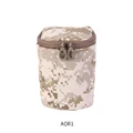 AOR1