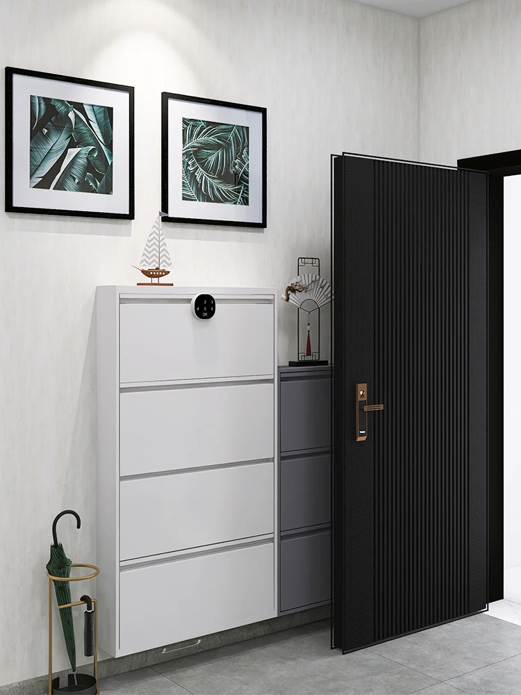 Ultra-Thin Shoe Cabinet Tilting Steel Door Corridor Elevator Entrance Anti-Theft Home Doorway