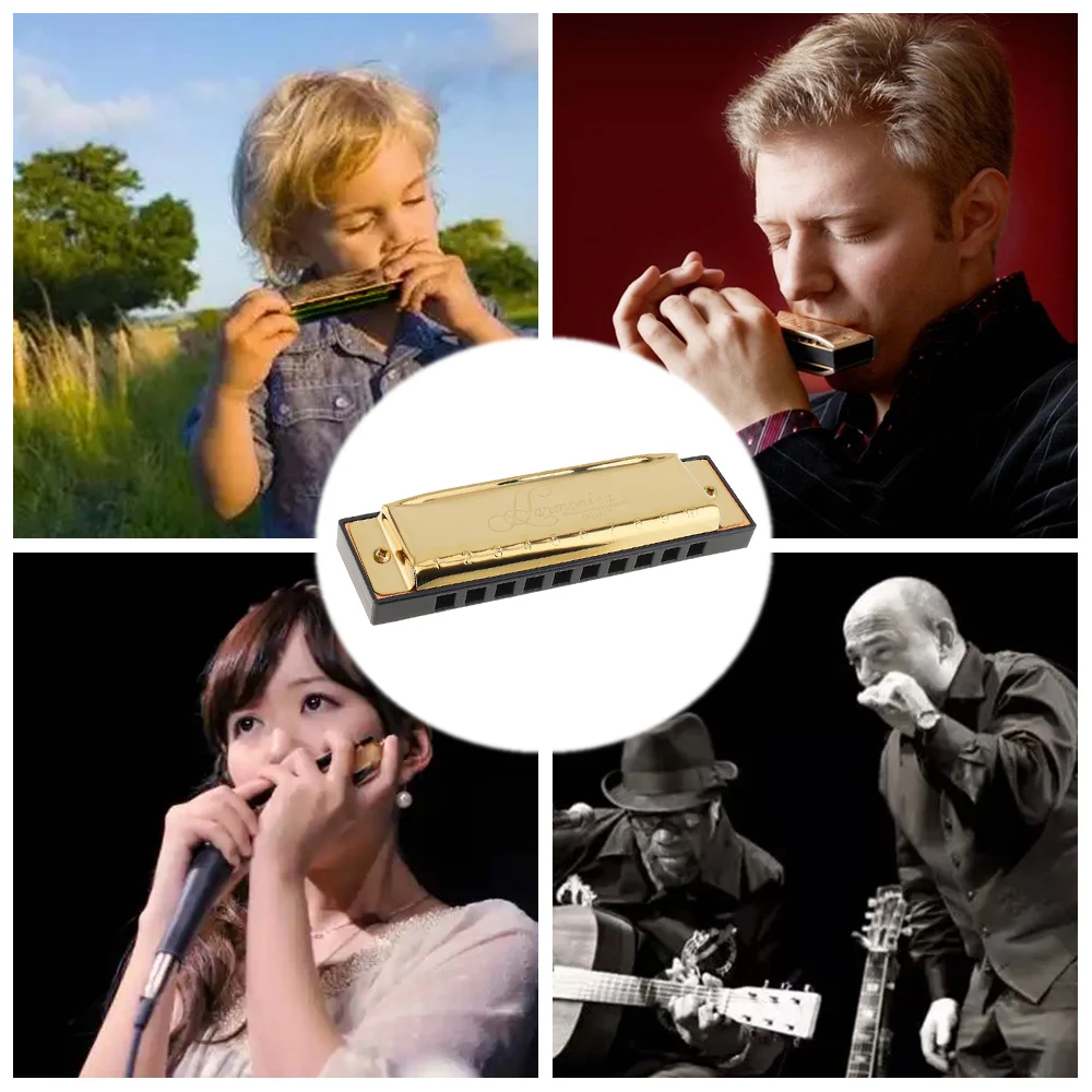 Gold 10 Holes 20 Tone Blues Harmonica Key of C Stainless Steel Mouth Organ Musical Instrument for Professional Player Beginner