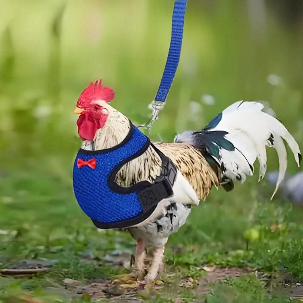 Arnés Ajustable y Transpirable para Patos y Gallinas, Collares a Juego, Chaleco para Gallinas con Lazo, Cinturón Cómodo y Suave para Gallinas y Patos