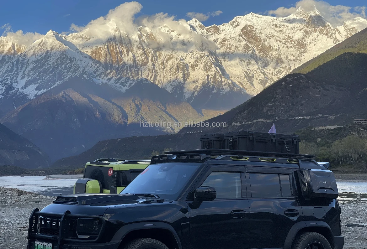 New Roof Rack Modification Lug - Travel Accessories In Car recension och pris