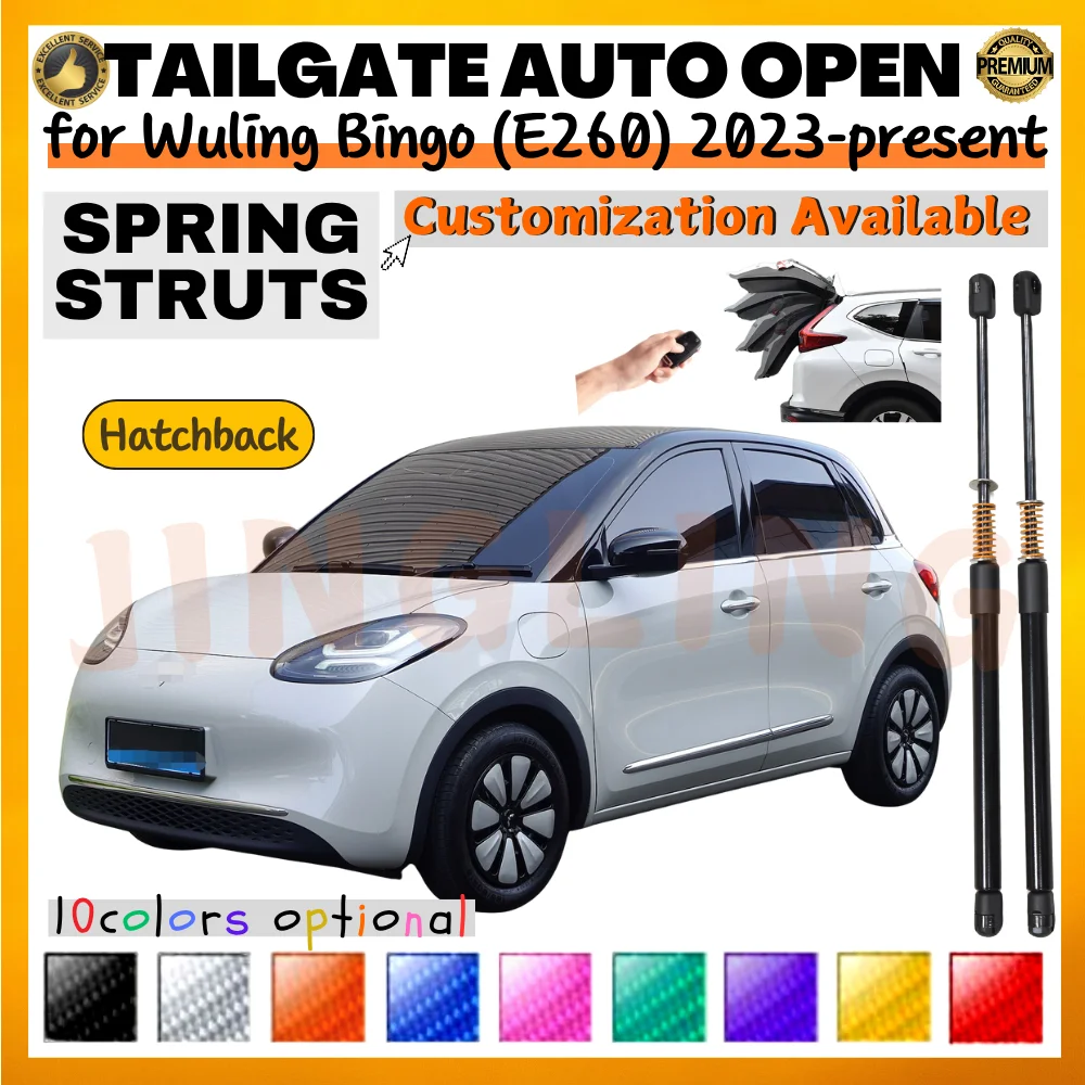

Qty(2) Trunk Struts with Spring for Wuling Bingo (E260) Hatchback 2023-present Rear Tailgate Boot Lift Supports Shock Absorbers